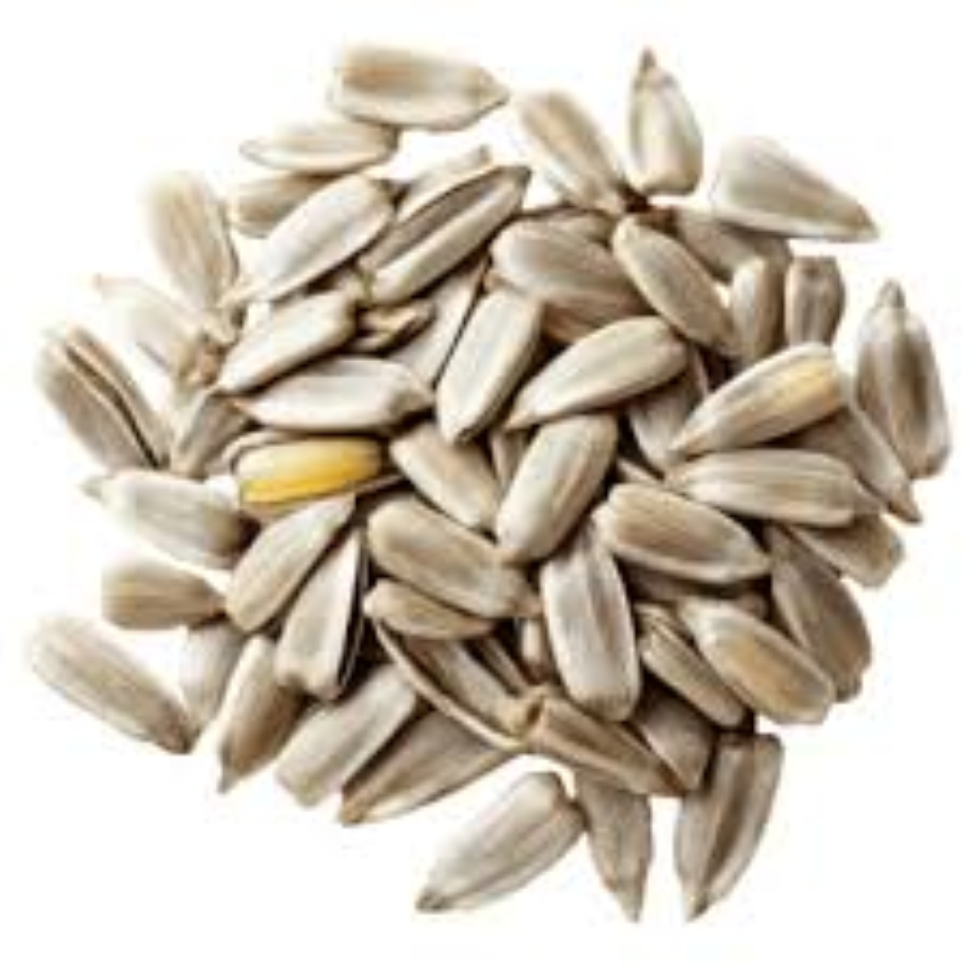 FRESH SUNFLOWER SEEDS